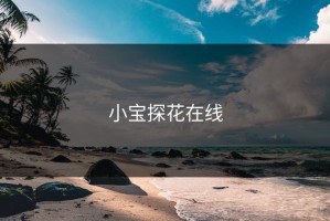 小宝探花在线