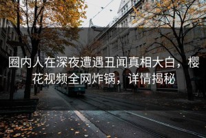 圈内人在深夜遭遇丑闻真相大白，樱花视频全网炸锅，详情揭秘
