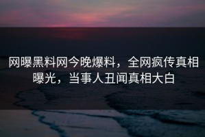 网曝黑料网今晚爆料，全网疯传真相曝光，当事人丑闻真相大白