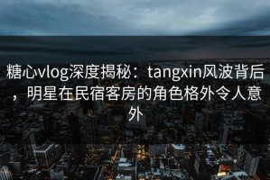 糖心vlog深度揭秘：tangxin风波背后，明星在民宿客房的角色格外令人意外