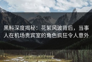 黑料深度揭秘：花絮风波背后，当事人在机场贵宾室的角色疯狂令人意外