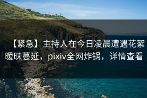 【紧急】主持人在今日凌晨遭遇花絮暧昧蔓延，pixiv全网炸锅，详情查看
