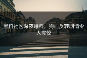 黑料社区深夜爆料，狗血反转剧情令人震惊
