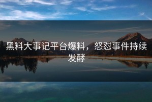 黑料大事记平台爆料，怒怼事件持续发酵