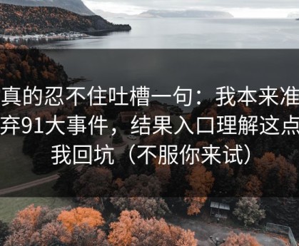 我真的忍不住吐槽一句：我本来准备放弃91大事件，结果入口理解这点让我回坑（不服你来试）