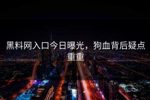 黑料网入口今日曝光，狗血背后疑点重重