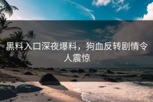 黑料入口深夜爆料，狗血反转剧情令人震惊