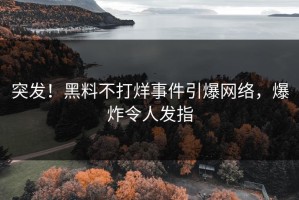 突发！黑料不打烊事件引爆网络，爆炸令人发指