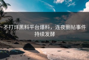 不打烊黑料平台爆料，连夜删帖事件持续发酵