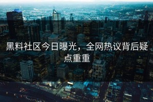 黑料社区今日曝光，全网热议背后疑点重重