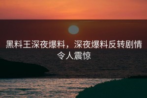 黑料王深夜爆料，深夜爆料反转剧情令人震惊