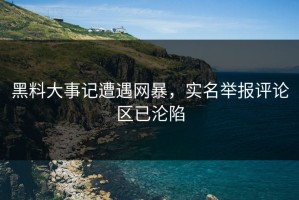 黑料大事记遭遇网暴，实名举报评论区已沦陷