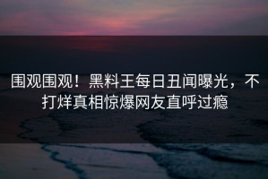 围观围观！黑料王每日丑闻曝光，不打烊真相惊爆网友直呼过瘾