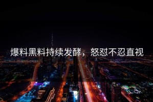 爆料黑料持续发酵，怒怼不忍直视