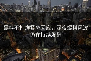 黑料不打烊紧急回应，深夜爆料风波仍在持续发酵
