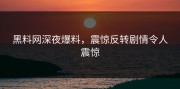 黑料网深夜爆料，震惊反转剧情令人震惊