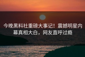 今晚黑料社重磅大事记！震撼明星内幕真相大白，网友直呼过瘾