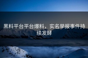黑料平台平台爆料，实名举报事件持续发酵