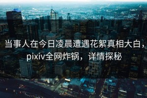 当事人在今日凌晨遭遇花絮真相大白，pixiv全网炸锅，详情探秘