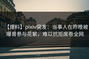 【爆料】pixiv突发：当事人在昨晚被曝曾参与花絮，难以抗拒席卷全网