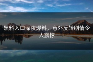 黑料入口深夜爆料，意外反转剧情令人震惊