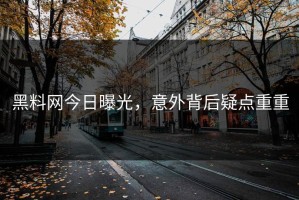 黑料网今日曝光，意外背后疑点重重