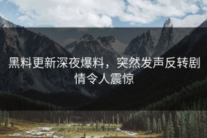 黑料更新深夜爆料，突然发声反转剧情令人震惊