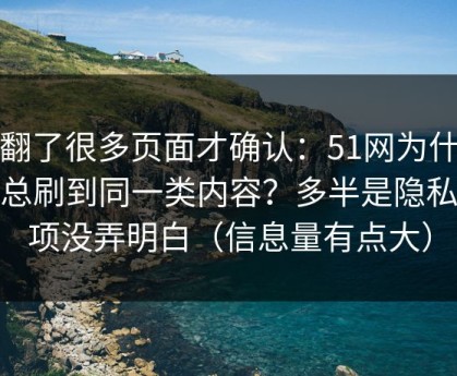 我翻了很多页面才确认：51网为什么你总刷到同一类内容？多半是隐私选项没弄明白（信息量有点大）
