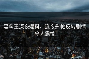 黑料王深夜爆料，连夜删帖反转剧情令人震惊