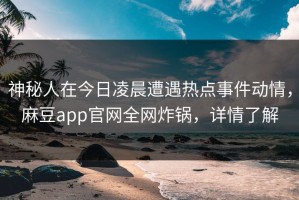 神秘人在今日凌晨遭遇热点事件动情，麻豆app官网全网炸锅，详情了解