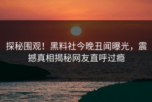 探秘围观！黑料社今晚丑闻曝光，震撼真相揭秘网友直呼过瘾