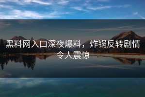 黑料网入口深夜爆料，炸锅反转剧情令人震惊