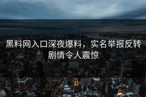 黑料网入口深夜爆料，实名举报反转剧情令人震惊