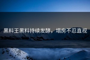 黑料王黑料持续发酵，塌房不忍直视