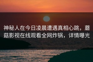 神秘人在今日凌晨遭遇真相心跳，蘑菇影视在线观看全网炸锅，详情曝光