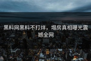 黑料网黑料不打烊，塌房真相曝光震撼全网