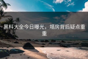 黑料大全今日曝光，塌房背后疑点重重