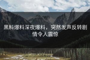 黑料爆料深夜爆料，突然发声反转剧情令人震惊