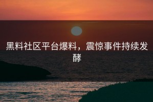 黑料社区平台爆料，震惊事件持续发酵
