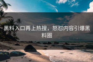 黑料入口再上热搜，怒怼内容引爆黑料圈