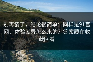 别再猜了，结论很简单：同样是91官网，体验差异怎么来的？答案藏在收藏回看