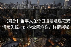 【紧急】当事人在今日凌晨遭遇花絮情绪失控，pixiv全网炸锅，详情揭秘