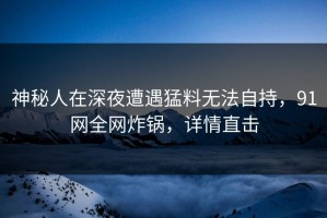 神秘人在深夜遭遇猛料无法自持，91网全网炸锅，详情直击