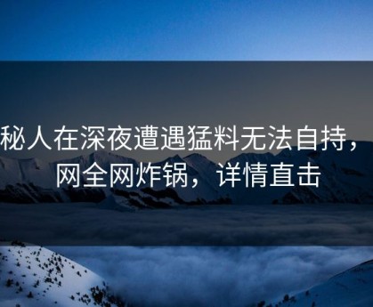 神秘人在深夜遭遇猛料无法自持，91网全网炸锅，详情直击