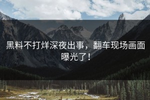 黑料不打烊深夜出事，翻车现场画面曝光了！