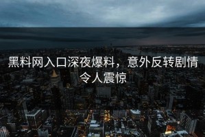 黑料网入口深夜爆料，意外反转剧情令人震惊