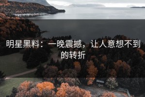明星黑料：一晚震撼，让人意想不到的转折