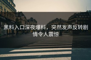 黑料入口深夜爆料，突然发声反转剧情令人震惊