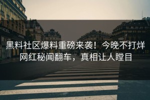 黑料社区爆料重磅来袭！今晚不打烊网红秘闻翻车，真相让人瞠目