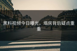 黑料视频今日曝光，塌房背后疑点重重